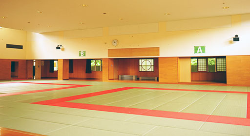 Judo Halle mit Tatami Boden