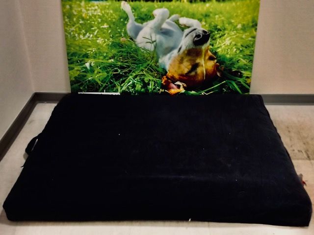 Hundefuton BW8 im Schonbezug, schwarz